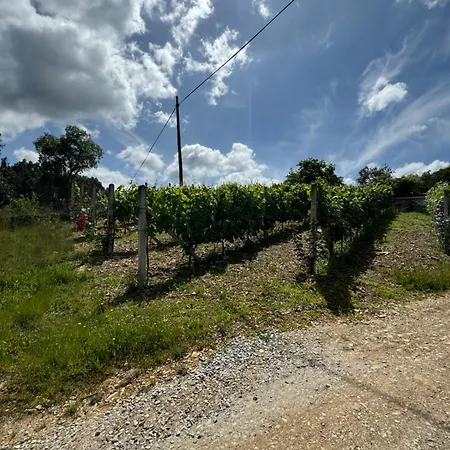 Quinta Do Lodeiro - Alojamento Local
