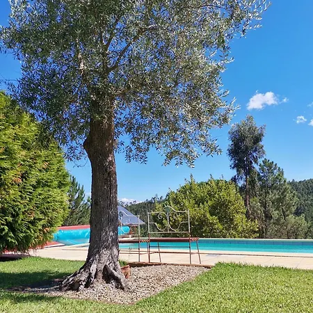 Apartmán Quinta Do Lodeiro - Alojamento Local *